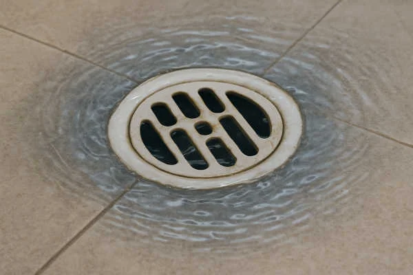 Professional drain cleaning and repair service